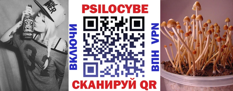 МЕГА ТОР  Новый Уренгой  Псилоцибиновые грибы Psilocybine cubensis 